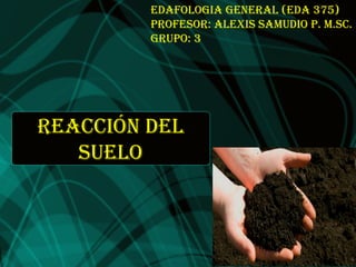 Reacción del
Suelo
edaFoloGia GeneRal (eda 375)
PRoFeSoR: alexiS Samudio P. m.Sc.
GRuPo: 3
 