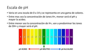 Propiedades Quimicas y Macro y Micro Nutrientes.pptx
