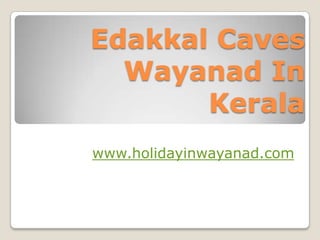 EdakkalCaves Wayanad In Kerala www.holidayinwayanad.com 