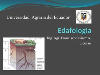Edafologia Ing. Agr. Francisco Suárez A. 2 curso Universidad  Agraria del Ecuador 