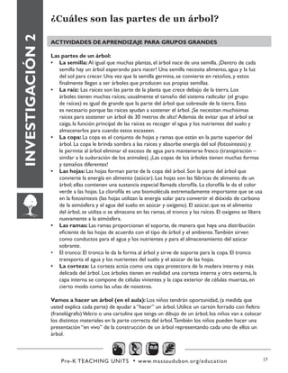 Pre-K TEACHING UNITS • www.massaudubon.org/education 17
INVESTIGACIÓN2
¿Cuáles son las partes de un árbol?
ACTIVIDADES DE APRENDIZAJE PARA GRUPOS GRANDES
Las partes de un árbol:
•	 La semilla: Al igual que muchas plantas, el árbol nace de una semilla. ¡Dentro de cada
semilla hay un árbol esperando para nacer! Una semilla necesita alimento, agua y la luz
del sol para crecer. Una vez que la semilla germina, se convierte en retoños, y estos
finalmente llegan a ser árboles que producen sus propias semillas.
•	 La raíz: Las raíces son las parte de la planta que crece debajo de la tierra. Los
árboles tienen muchas raíces; usualmente el tamaño del sistema radicular (el grupo
de raíces) es igual de grande que la parte del árbol que sobresale de la tierra. Esto
es necesario porque las raíces ayudan a sostener el árbol. ¡Se necesitan muchísimas
raíces para sostener un árbol de 30 metros de alto! Además de evitar que el árbol se
caiga, la función principal de las raíces es recoger el agua y los nutrientes del suelo y
almacenarlos para cuando estos escaseen.
•	 La copa: La copa es el conjunto de hojas y ramas que están en la parte superior del
árbol. La copa le brinda sombra a las raíces y absorbe energía del sol (fotosíntesis) y
le permite al árbol eliminar el exceso de agua para mantenerse fresco (transpiración –
similar a la sudoración de los animales). ¡Las copas de los árboles tienen muchas formas
y tamaños diferentes!
•	 Las hojas: Las hojas forman parte de la copa del árbol. Son la parte del árbol que
convierte la energía en alimento (azúcar). Las hojas son las fábricas de alimento de un
árbol; ellas contienen una sustancia especial llamada clorofila. La clorofila le da el color
verde a las hojas. La clorofila es una biomolécula extremadamente importante que se usa
en la fotosíntesis (las hojas utilizan la energía solar para convertir el dióxido de carbono
de la atmósfera y el agua del suelo en azúcar y oxígeno). El azúcar, que es el alimento
del árbol, se utiliza o se almacena en las ramas, el tronco y las raíces. El oxígeno se libera
nuevamente a la atmósfera.
•	 Las ramas: Las ramas proporcionan el soporte, de manera que haya una distribución
eficiente de las hojas de acuerdo con el tipo de árbol y el ambiente.También sirven
como conductos para el agua y los nutrientes y para el almacenamiento del azúcar
sobrante.
•	 El tronco: El tronco le da la forma al árbol y sirve de soporte para la copa. El tronco
transporta el agua y los nutrientes del suelo y el azúcar de las hojas.
•	 La corteza: La corteza actúa como una capa protectora de la madera interna y más
delicada del árbol. Los árboles tienen en realidad una corteza interna y otra externa, la
capa interna se compone de células vivientes y la capa exterior de células muertas, en
cierto modo como las uñas de nosotros.
Vamos a hacer un árbol (en el aula): Los niños tendrán oportunidad, (a medida que
usted explica cada parte) de ayudar a “hacer” un árbol. Utilice un cartón forrado con fieltro
(franelógrafo)Velcro o una cartulina que tenga un dibujo de un árbol; los niños van a colocar
los distintos materiales en la parte correcta del árbol.También los niños pueden hacer una
presentación “en vivo” de la construcción de un árbol representando cada uno de ellos un
árbol.
 