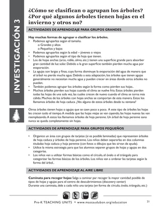 Pre-K TEACHING UNITS • www.massaudubon.org/education 21
INVESTIGACIÓN3
¿Cómo se clasifican o agrupan los árboles?
¿Por qué algunos árboles tienen hojas en el
invierno y otros no?
ACTIVIDADES DE APRENDIZAJE PARA GRUPOS GRANDES
Hay muchas formas de agrupar o clasificar los árboles.
•	 Podemos agruparlos según el tamaño.
o Grandes y altos
o Pequeños y bajos
•	 Podemos agruparlos según la edad – jóvenes o viejos
•	 Podemos agruparlos según el tipo de hoja que tienen.
•	 Los de hojas anchas (arce, roble, olmo, etc.) tienen una superficie grande para absorber
gran cantidad de luz solar. Debido a la gran superficie también pierden mucha agua por
evaporación.
•	 La agujas son largas y finas, cuya forma disminuye la evaporación del agua de manera que
el árbol no pierde mucha agua. Debido a esta adaptación, los árboles que tienen agujas
generalmente no necesitan mucha agua y pueden crecer en áreas donde otros árboles no
pueden.
•	 También podemos agrupar los árboles según la forma como pierden sus hojas..
•	 Muchos árboles pierden sus hojas cuando el clima se vuelve frío. Estos árboles pierden
todas las hojas de una sola vez, las cuales crecen de nuevo cuando el clima se torna más
cálido. Muchos de los árboles con hojas anchas se comportan de esta manera. Estos los
llamamos árboles de hoja caduca. ¿Ves alguno de estos árboles desde tu ventana?
Otros árboles tienen hojas o agujas que se caen poco a poco. A este tipo de árboles las hojas
les crecen todo el tiempo.A medida que las hojas viejas se van cayendo, las hojas nuevas las van
reemplazando.A estos los llamamos árboles de hoja perenne. Un árbol de hoja perenne sano
nunca se queda completamente sin hojas.
ACTIVIDADES DE APRENDIZAJE PARA GRUPOS PEQUEÑOS
•	 Organice un área con grupos de tarjetas (si es posible laminadas) que representen árboles
de hoja caduca y árboles de hoja perenne. Los niños deben separarlas en dos columnas
tituladas hoja caduca y hoja perenne (con fotos o dibujos que les sirvan de ayuda).
•	 Utilice la misma estrategia para que los alumnos separen grupos de hojas y agujas en dos
categorías.
•	 Los niños van a utilizar formas básicas como el círculo, el óvalo o el triángulo para
categorizar las formas básicas de los árboles. Los niños van a ordenar las tarjetas según la
forma del árbol..
ACTIVIDADES DE APRENDIZAJE AL AIRE LIBRE
Caminata para recoger hojas: Salga a caminar par recoger la mayor cantidad posible de
tipos de hojas y agujas para el centro de descubrimientos (discovery center)
Durante una caminata, dele a cada niño una tarjeta (en forma de círculo, óvalo, triángulo, etc.)
 