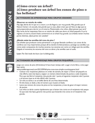 Pre-K TEACHING UNITS • www.massaudubon.org/education 23
INVESTIGACIÓN4
¿Cómo crece un árbol?
¿Cómo produce un árbol los conos de pino o
las bellotas?
ACTIVIDADES DE APRENDIZAJE PARA GRUPOS GRANDES
Observar un retoño de roble:
Hay algo detrás de mi que va a crecer y un día llegará a ser muy grande. Más grande que el
Nature Center o la escuela, más grande que su casa. ¿Qué creen que es? Esto es algo que se
está preparando para dormir en el invierno. Muéstreselo a los niños. ¿Qué piensan que será?
Elija varias de las respuestas. Esto es un retoño de roble que ahora un árbol pequeño. Si yo lo
regreso a la tierra crecerá hasta convertirse en un árbol muy grande. Los árboles tienen muchas
partes distintas. ¿Qué partes ven ustedes?
¿Dónde están las semillas del cono de pino ?
Los árboles que producen conos pertenecen a un grupo llamado coníferas. Los conos de las
coníferas son muy importantes porque allí es donde el árbol produce y protege sus semillas. Los
conos están compuestos de muchas escamas. Las escamas son como un refugio para las semillas.
Llegado el momento, las escamas del cono se abren y las semillas caen al suelo.
Leer: The Oak Inside the Acorn (ver la bibliografía)
ACTIVIDADES DE APRENDIZAJE PARA GRUPOS PEQUEÑOS
Juego con conos de pino (Aritmética) Si hace buen tiempo salir a jugar al aire libre, o sino jugar
bajo techo
www.toddlerapproved.com/2012/09/fall-pine-cone-toss-simple-counting-game.html
•	 Colocar tres recipientes plásticos en orden de tamaño, de mayor a menor (el pequeño es
más difícil y está más lejos) y asignar un número determinado de puntos a cada recipiente.
Para que sea fácil, el recipiente más grande vale 1 punto, el siguiente recipiente vale 2 puntos
y el tercero (que es el más difícil) vale 3 puntos.
•	 Un niño se sienta o se arrodilla detrás de una línea determinada.
•	 El niño lanza un dado y dice el número que muestra el dado.
•	 Lance ese número de conos de pinos en los recipientes y trate de ganar el mayor número
de puntos.
•	 Los niños se darán cuenta rápidamente que si lanzan tres conos en el recipiente más peque-
ño que está más lejos, ganarán más puntos que lanzando tres conos en el recipiente más
grande.
 