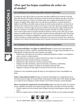 Pre-K TEACHING UNITS • www.massaudubon.org/education 25
INVESTIGACIÓN5
¿Por qué las hojas cambian de color en
el otoño?
ACTIVIDADES DE APRENDIZAJE PARA GRUPOS GRANDES
El cambio de color de las hojas es un proceso que debe simplificarse de acuerdo al nivel de
desarrollo del niño. Más abajo le ofrecemos una forma buena de explicar esta idea a los niños.
Durante la primavera y el verano los árboles están muy ocupados absorbiendo la luz solar,
el agua y el oxígeno. Ellos utilizan estos tres elementos para fabricar su propio alimento y
elaborar la clorofila. La clorofila cubre sus hojas de verde, toda la primavera y el verano. En el
otoño, el clima cambia; los días se hacen más cortos y la luz solar disminuye, también los días
son más secos y escasea el agua. De pronto el árbol no tiene luz solar y agua suficientes para
fabricar su alimento y clorofila; entonces deja de producir clorofila y las hojas recobran su
color natural. ¿Qué notan en las hojas durante el otoño? Es cierto, se caen. ¿Por qué se caen?
porque no pueden ayudar al árbol a producir alimento. No hay suficiente luz solar. Si las hojas
permanecieran en el árbol se congelarían y pesarían mucho, lo cuál podría quebrar las ramas
y dañar el árbol. Los árboles almacenan su alimento en las raíces y lo reservan para cuando lo
necesitan en el invierno. El árbol necesita dormir durante el invierno, lo mismo que los animales.
ACTIVIDADES DE APRENDIZAJE PARA GRUPOS PEQUEÑOS
Matemáticas/ELA(por sus siglas en inglés)/Ciencias: ¿Cuántos días tardan diferentes
tipos de hojas en secarse y volverse crujientes? Anda afuera a recoger hojas. Guárdalas en una
bolsa plástica cerrada para evitar que se sequen muy rápido.
•	 Mientras los niños observan los cambios, usted puede ayudarlos a adquirir un vocabulario
nuevo y anotar sus observaciones.
•	 Estas hojas hace un día que se cayeron del árbol. Las hojas son suaves y flexibles.
•	 Después de 2 días el borde comienza a enroscarse.
•	 Después de 3 días comienzan a secarse y ponerse tiesas.
•	 Después de 4 días comienzan a ponerse marrones y crujientes o quebradizas.
•	 Los niños pueden comparar los datos en los distintos tipos de hojas.
•	 Organizar un grupo de hojas según el tamaño, la forma, el color y la textura.
Coloque en unos recipientes grupos de hojas en varias etapas para hacer manualidades con
hojas.
Calcar varias hojas de árbol: Coloque una hoja de árbol debajo de un papel blanco de tal
forma que la parte rugosa de la hoja (el lado revés) quede mirando hacia arriba. Quítele el papel
a un crayón de cera. Coloque el crayón de lado y con él frote la hoja por encima del papel.
Hacer una hoja con crayones de cera derretidos: Haga unas hojas de otoño con crayones
de cera rallados y derretidos entre capas de papel encerado y recortado con formas de hojas.
•	 Pruebe crayones de varios colores sobre el papel encerado, mezcle algunos colores y separe
otros.
•	 Ralle los crayones sobre un pedazo de papel encerado, cúbralos con otro pedazo de papel.
 