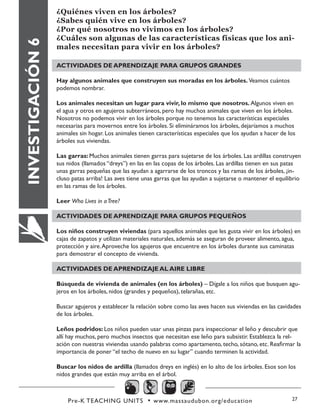 Pre-K TEACHING UNITS • www.massaudubon.org/education 27
INVESTIGACIÓN6
¿Quiénes viven en los árboles?
¿Sabes quién vive en los árboles? 
¿Por qué nosotros no vivimos en los árboles? 
¿Cuáles son algunas de las características físicas que los ani-
males necesitan para vivir en los árboles?
ACTIVIDADES DE APRENDIZAJE PARA GRUPOS GRANDES
Hay algunos animales que construyen sus moradas en los árboles. Veamos cuántos
podemos nombrar.
Los animales necesitan un lugar para vivir, lo mismo que nosotros. Algunos viven en
el agua y otros en agujeros subterráneos, pero hay muchos animales que viven en los árboles.
Nosotros no podemos vivir en los árboles porque no tenemos las características especiales
necesarias para movernos entre los árboles. Si elimináramos los árboles, dejaríamos a muchos
animales sin hogar. Los animales tienen características especiales que los ayudan a hacer de los
árboles sus viviendas.
Las garras: Muchos animales tienen garras para sujetarse de los árboles. Las ardillas construyen
sus nidos (llamados “dreys”) en las en las copas de los árboles. Las ardillas tienen en sus patas
unas garras pequeñas que las ayudan a agarrarse de los troncos y las ramas de los árboles, ¡in-
cluso patas arriba! Las aves tiene unas garras que las ayudan a sujetarse o mantener el equilibrio
en las ramas de los árboles.
Leer Who Lives in aTree?
ACTIVIDADES DE APRENDIZAJE PARA GRUPOS PEQUEÑOS
Los niños construyen viviendas (para aquellos animales que les gusta vivir en los árboles) en
cajas de zapatos y utilizan materiales naturales, además se aseguran de proveer alimento, agua,
protección y aire.Aproveche los agujeros que encuentre en los árboles durante sus caminatas
para demostrar el concepto de vivienda.
	
ACTIVIDADES DE APRENDIZAJE AL AIRE LIBRE
Búsqueda de vivienda de animales (en los árboles) – Dígale a los niños que busquen agu-
jeros en los árboles, nidos (grandes y pequeños), telarañas, etc.
Buscar agujeros y establecer la relación sobre como las aves hacen sus viviendas en las cavidades
de los árboles.
Leños podridos: Los niños pueden usar unas pinzas para inspeccionar el leño y descubrir que
allí hay muchos, pero muchos insectos que necesitan ese leño para subsistir. Establezca la rel-
ación con nuestras viviendas usando palabras como apartamento, techo, sótano, etc. Reafirmar la
importancia de poner “el techo de nuevo en su lugar” cuando terminen la actividad.
Buscar los nidos de ardilla (llamados dreys en inglés) en lo alto de los árboles. Esos son los
nidos grandes que están muy arriba en el árbol.
 