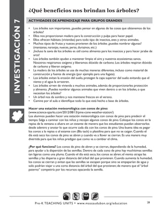 Pre-K TEACHING UNITS • www.massaudubon.org/education 28
INVESTIGACIÓN7
¿Qué beneficios nos brindan los árboles?
ACTIVIDADES DE APRENDIZAJE PARA GRUPOS GRANDES
•	 Los árboles son importantes. ¿puedes pensar en algunas de las cosas que obtenemos de los
árboles?
•	 Ellos nos proporcionan madera para la construcción y pulpa para hacer papel.
•	 Ellos ofrecen hábitats (viviendas) para todo tipo de insectos, aves y otros animales.
•	 Muchos tipos de frutas y nueces provienen de los árboles ¿puedes nombrar algunas?
(manzanas, naranjas, nueces, peras, duraznos, etc.)
•	 ¡Incluso la savia de los árboles es útil como alimento para los insectos y para hacer jarabe de
arce!
•	 Los árboles también ayudan a mantener limpio el aire y nuestros ecosistemas sanos.
Nosotros respiramos oxígeno y liberamos dióxido de carbono. Los árboles respiran dióxido
de carbono y liberan oxígeno.
•	 La madera de los árboles se usa de muchas maneras diferentes, incluso como material de
construcción y fuente de energía (por ejemplo para una fogata).
•	 Los árboles evitan la erosión del suelo, protegen la capa superior del suelo evitando que el
viento y el agua la arrastren.
•	 Los árboles sirven de vivienda a muchos animales, además de proporcionarles protección
y alimento. ¿Puedes nombrar algunos animales que viven dentro o en los árboles, o que
necesitan los árboles?
•	 Un árbol nos da sombra y nos mantiene frescos en el verano.
•	 Camine por el aula e identifique todo lo que está hecho a base de árboles.
Hacer una estación meteorológica con conos de pino:
(www.science-sparks.com/2012/08/13/pine-cone-weather-station/)
Los alumnos pueden hacer una estación meteorológica con conos de pino para predecir el
tiempo. Salga a caminar con los niños y recojan algunos conos de pino. Coloque los conos en la
repisa de la ventana o afuera en un estante de manera que los estudiantes puedan observarlos
desde adentro y anotar lo que ocurre cada día con los conos de pino. Una buena idea es pegar
los conos a la repisa o al estante con (Blu tack) o plastilina para que no se caigan. Cuando el
día está seco los conos de pino se abren y cuando va a llover se cierran. Es una manera muy
divertida para que los niños predigan que como va a cambiar el clima.
¿Por qué funciona? Los conos de pino de abren y se cierran, dependiendo de la humedad,
para ayudar a la dispersión de las semillas. Dentro de cada cono de pino hay muchísimas semillas
tan ligeras como una pluma. Cuando el día está seco, los conos se abren; el viento atrapa las
semillas y las dispersa a gran distancia del árbol del que provienen. Cuando aumenta la humedad,
los conos se cierran y evitan que las semillas se escapen porque sino se empaparían de agua y
solo podrían viajar a una corta distancia del árbol del que provienen; de manera que el “árbol
paterno” competiría por los recursos opacando la semilla.
 