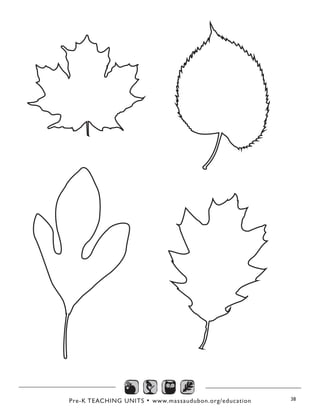 Pre-K TEACHING UNITS • www.massaudubon.org/education 38
 