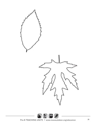 Pre-K TEACHING UNITS • www.massaudubon.org/education 39
 