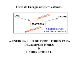 Fluxo de Energia nos Ecossistemas




A ENERGIA FLUI DE PRODUTORES PARA
        DECOMPOSITORES
                 Þ
         UNIDIRECIONAL
 