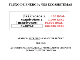 FLUXO DE ENERGIA NOS ECOSSISTEMAS




     A ENERGIA DECRESCE A CADA NÍVEL TRÓFICO

                    POR ISSO:

AS CADEIAS ALIMENTARES SÃO NORMALMENTE COMPOSTA
             DE POUCOS NÍVEIS TRÓFICOS
 