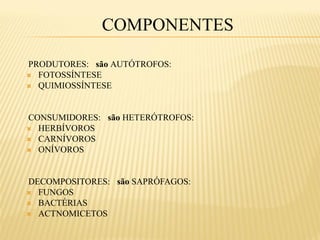 COMPONENTES

PRODUTORES: são AUTÓTROFOS:
 FOTOSSÍNTESE
 QUIMIOSSÍNTESE




CONSUMIDORES: são HETERÓTROFOS:
 HERBÍVOROS
 CARNÍVOROS
 ONÍVOROS




DECOMPOSITORES: são SAPRÓFAGOS:
 FUNGOS
 BACTÉRIAS
 ACTNOMICETOS
 