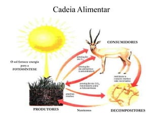 Cadeia Alimentar


                                           CONSUMIDORES




O sol fornece energia
        para a
 FOTOSSÍNTESE




                PRODUTORES    Nutrientes    DECOMPOSITORES
 
