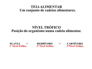 TEIA ALIMENTAR
         Um conjunto de cadeias alimentares.



              NÍVEL TRÓFICO
 Posição do organismo numa cadeia alimentar.


PLANTA           >   HERBÍVORO          >   CARNÍVORO
1º Nível Trófico     2º Nível Trófico       3ºNível Trófico
 