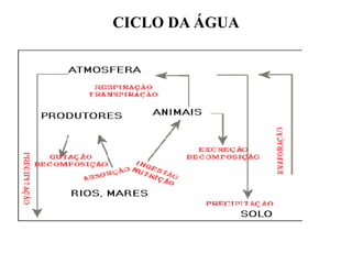 CICLO DA ÁGUA
 