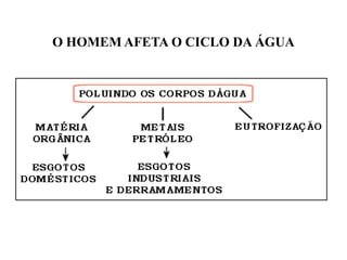 O HOMEM AFETA O CICLO DA ÁGUA
 