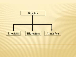 Biosfera




Litosfera   Hidrosfera   Atmosfera
 