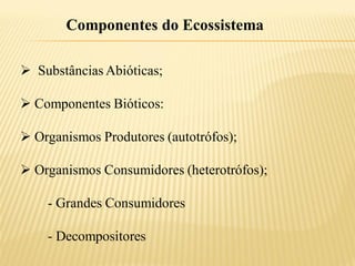 Componentes do Ecossistema

 Substâncias Abióticas;

 Componentes Bióticos:

 Organismos Produtores (autotrófos);

 Organismos Consumidores (heterotrófos);

    - Grandes Consumidores

    - Decompositores
 