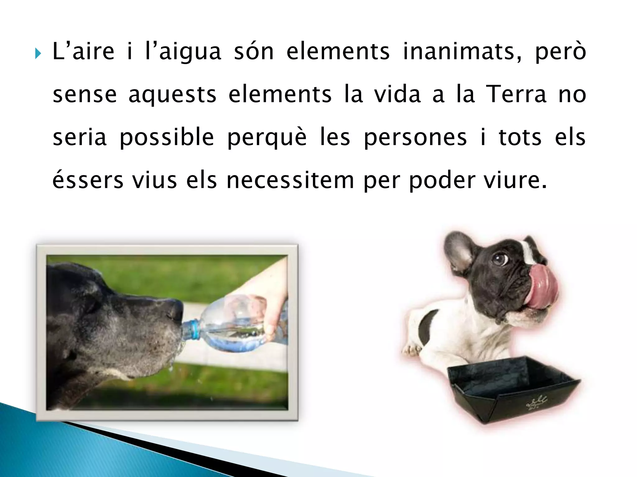 2n Creixen i es desenvolupenTOTS ELS ÉSSERS VIUS SEGUEIXEN UN            CICLE VITAL