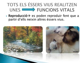Els objectes, com els bancs, el tobogan o la tanca, que són fets per les persones i que acostumen a tenir alguna utilitat.EL gronxador és de fusta, les cadenes són de metall i els seients són de plàstic. El metall, el plàstic i la fusta són els materials amb els quals són fetes aquests objectes.