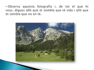  Observa aquesta fotografia i, de tot el que hi veus, digues allò que et sembla que té vida i allò que et sembla que no en té. Observa aquesta fotografia i, de tot el que hi veus, digues allò que et sembla que té vida i allò que et sembla que no en té. Les plantes i els animals tenen vida perquè neixen, s’alimenten, respiren, creixen i es desenvolupen, es relacionen amb l’entorn, es poden reproduir i  moren.Les plantes i els animals són éssers vius.Les persones som animals, per tant, som éssers vius.Com tots els éssers vius, seguim un cicle vital i realitzem unes funcions vitals, però ens diferenciem dels altres animals pel fet que podem pensar, parlar, estimar, riure...