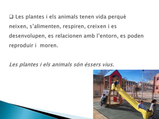 L’aire i l’aigua són elements inanimats, però sense aquests elements la vida a la Terra no seria possible perquè les persones i tots els éssers vius els necessitem per poder viure.