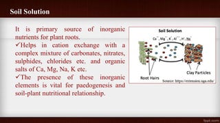 Soil Solution
It is primary source of inorganic
nutrients for plant roots.
Helps in cation exchange with a
complex mixture of carbonates, nitrates,
sulphides, chlorides etc. and organic
salts of Ca, Mg, Na, K etc.
The presence of these inorganic
elements is vital for paedogenesis and
soil-plant nutritional relationship.
 