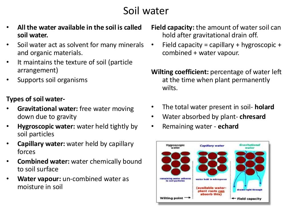 Edaphic factors soil profile, structure, porosity, soil moisture, so…