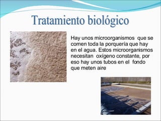 Hay unos microorganismos  que se comen toda la porquería que hay en el agua. Estos microorganismos necesitan  oxígeno constante, por eso hay unos tubos en el  fondo que meten aire  Tratamiento biológico 