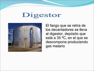 El fango que se retira de los decantadores se lleva al digestor, depósito que está a 35 ºC, en el que se descompone produciendo gas metano Digestor 