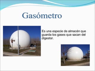 Es una especie de almacén que guarda los gases que sacan del digestor.  Gasómetro 