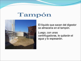 El líquido que sacan del digestor se almacena en el tampón.  Luego, con unas centrifugadoras, le quitarán el agua y lo espesarán. Tampón 
