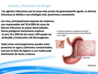 Los agentes infecciosos son la causa más común de gastroenteritis aguda. La diarrea
infecciosa es debida a una etiología viral, bacteriana y parasitaria.
Los virus, principalmente especies de rotavirus,
son responsables del 70 al 80% de casos de
diarrea infecciosa en países desarrollados.
Varios patógenos bacterianos explican
el otro 10 a 20% de los casos; 10% puede ser
atribuible a Escherichia coli diarreogénica.
Todos estos microorganismos pueden estar
presentes en agua y alimentos contaminados,
esto por la falta de higiene y una inadecuada
eliminación de heces y basura.

 