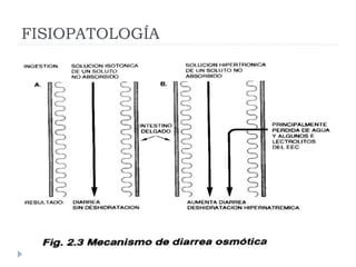FISIOPATOLOGÍA
 Diarrea Secretora
 Se produce por activación de mediadores
intracelulares (AMPc, GMPc, Ca)
 Causas:
 T...