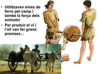 Utilitzaven eines de ferro pel camp i també la força dels animals! Per produir el vi i l’oli van fer grans premses... 