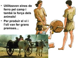 Utilitzaven eines de ferro pel camp i també la força dels animals! Per produir el vi i l’oli van fer grans premses... 