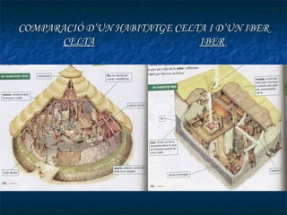 COMPARACIÓ D’UN HABITATGE CELTA I D’UN IBER
      CELTA                   IBER
 