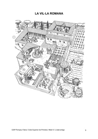 LA VIL·LA ROMANA
CEIP Pompeu Fabra / Cicle Superior de Primària / Medi 5 / L’edat antiga 9
 