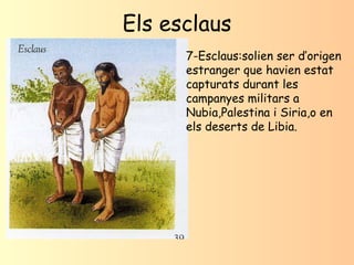 Els esclaus 7-Esclaus:solien ser d’origen estranger que havien estat capturats durant les campanyes militars a Nubia,Pales...