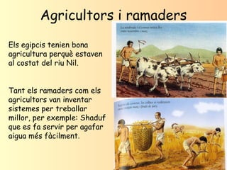 Agricultors i ramaders Els egipcis tenien bona agricultura perquè estaven al costat del riu Nil. Tant els ramaders com els...