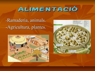 AlimentacióAlimentació
--RamaderiaRamaderia, animals., animals.
-Agricultura, plantes.-Agricultura, plantes.
 