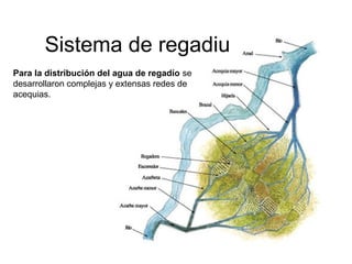 Sistema de regadiu
Para la distribución del agua de regadío se
desarrollaron complejas y extensas redes de
acequias.

 