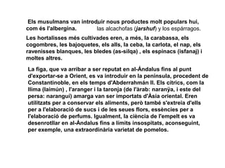 Els musulmans van introduir nous productes molt populars hui,
,
com és l'albergina.
las alcachofas (jarshuf) y los espárragos.
Les hortalisses més cultivades eren, a més, la carabassa, els
cogombres, les bajoquetes, els alls, la ceba, la carlota, el nap, els
ravenisses blanques, les bledes (as-silqa) , els espinacs (isfanaj) i
moltes altres.
La figa, que va arribar a ser reputat en al-Ándalus fins al punt
d'exportar-se a Orient, es va introduir en la península, procedent de
Constantinoble, en els temps d'Abderrahmán II. Els cítrics, com la
llima (laimún) , l'aranger i la taronja (de l'àrab: naranÿa, i este del
persa: naranguí) amarga van ser importats d'Àsia oriental. Eren
utilitzats per a conservar els aliments, però també s'extreia d'ells
per a l'elaboració de sucs i de les seues flors, essències per a
l'elaboració de perfums. Igualment, la ciència de l'empelt es va
desenrotllar en al-Ándalus fins a límits insospitats, aconseguint,
per exemple, una extraordinària varietat de pomelos.

 