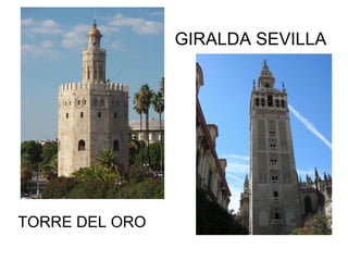 GIRALDA SEVILLA

TORRE DEL ORO

 