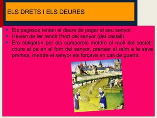 ELS DRETS I ELS DEURES


•   Els pagesos tenien el deure de pagar al seu senyor.
•   Havien de fer rendir l'hort del senyor (del castell).
•   Era obligatori per els camperols moldre al molí del castell,
    coure el pa en el forn del senyor, prensar el raïm a la seva
    premsa, mentre el senyor els forçava en cas de guerra.
 
