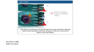 Vol menor a 1000
Ceden con ayuno
 