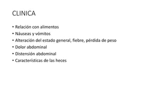 CLINICA
• Relación con alimentos
• Náuseas y vómitos
• Alteración del estado general, fiebre, pérdida de peso
• Dolor abdominal
• Distensión abdominal
• Características de las heces