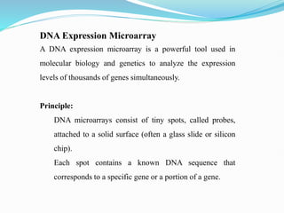 Exploratory data analysis for business MODULE 1.pptx