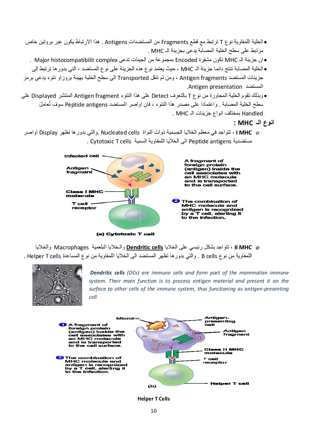 ص
مز
على
صر
H.
خاص بروتين ر
Major his.
ھاالى ترتبط
برم يدعى نتوء
Displayedع
ُت فعا...