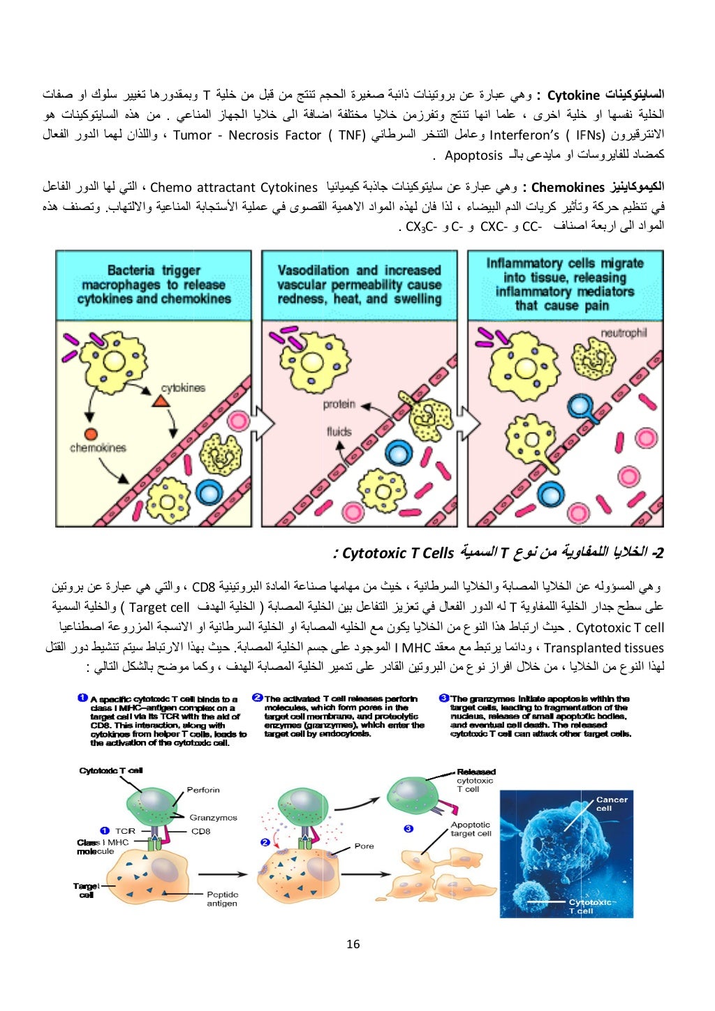 صفات
ھو ت
لفعال
لفاعل
ھذه ف
تين
مية
يا
القتل
ص او سلوك ير
السايتوكينات ه
ال الدور...