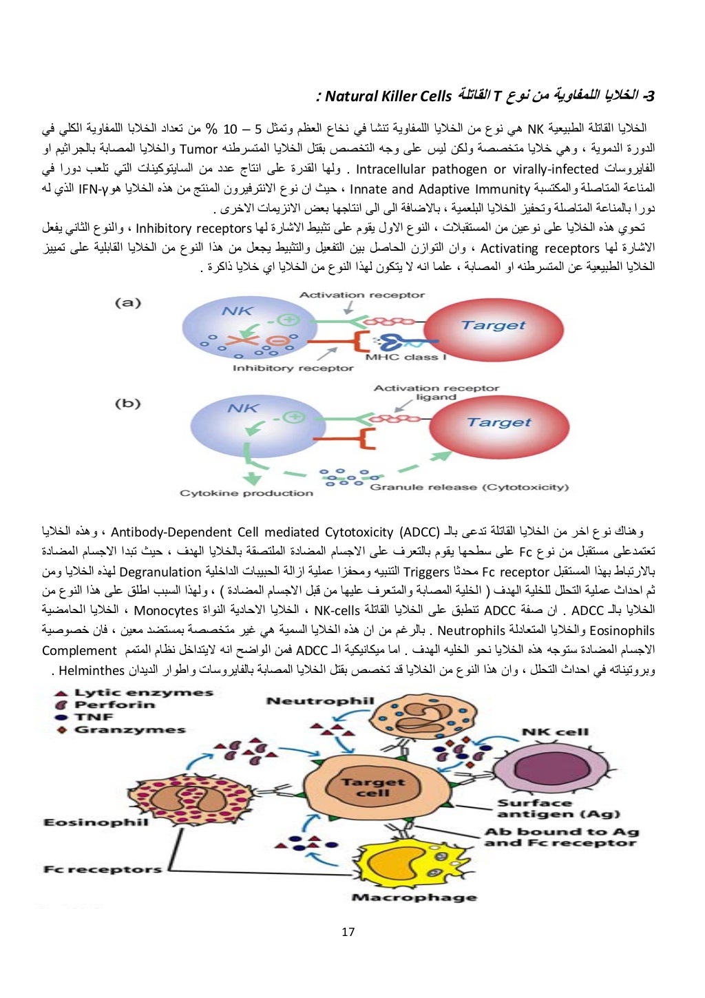 17 
 
3-‫نوع‬ ‫من‬ ‫اللمفاوية‬ ‫الخاليا‬T‫القاتلة‬Natural Killer Cells: 
‫الطبيعية‬ ‫القاتلة‬ ‫الخاليا‬NK‫وتمثل‬ ‫العظم‬ ‫...